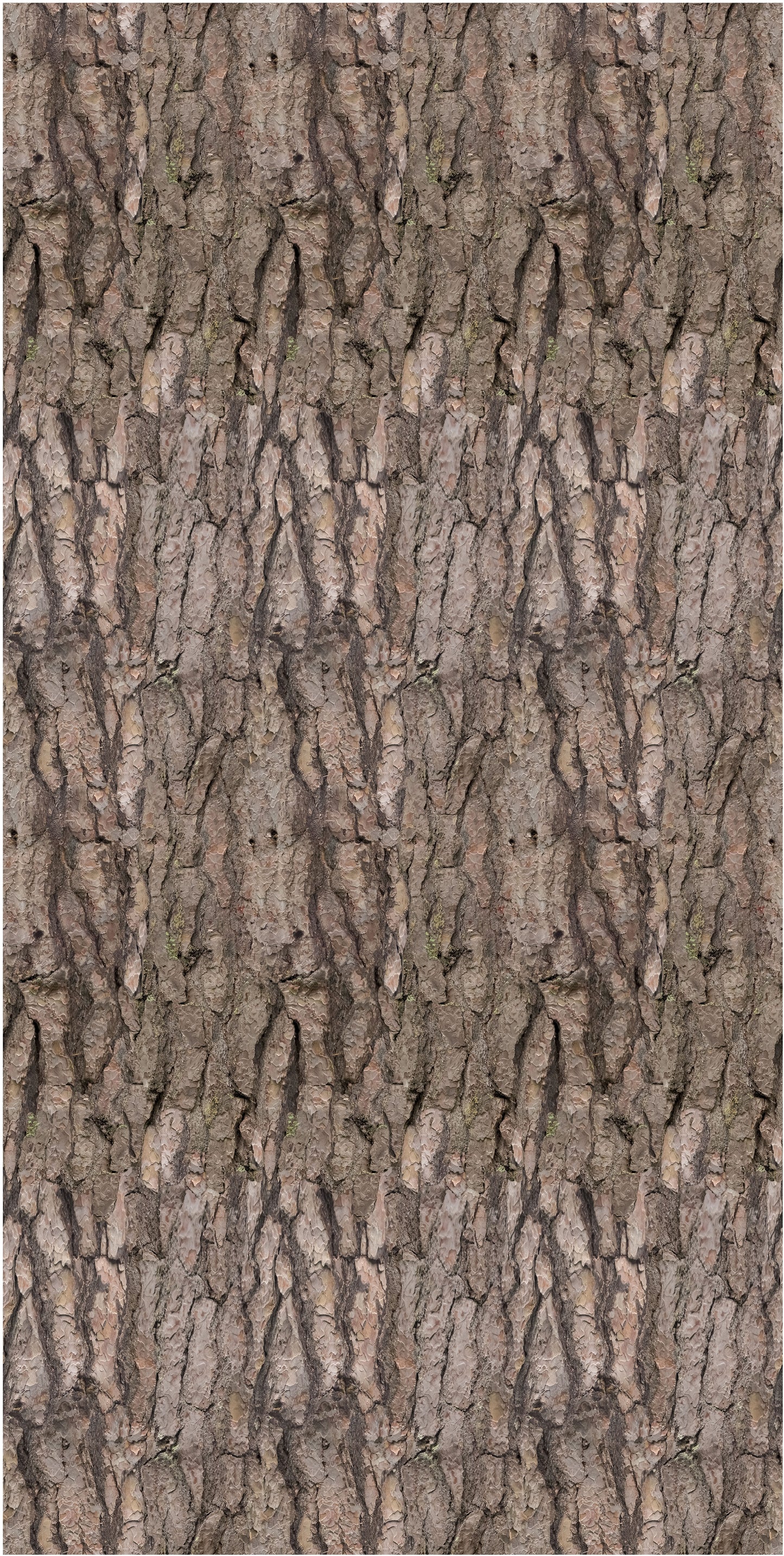 4x8 Printed Acoustic Wall Panel - Wood W48003