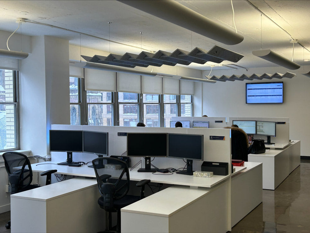 CeilingClouds_CloudOnRails_PIC_4.jpeg