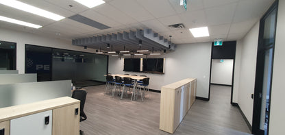 PepsiCo custom ceiling grid.jpg