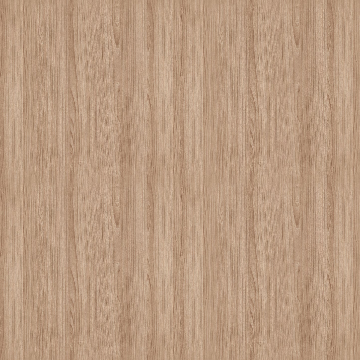 5 Inch Batten